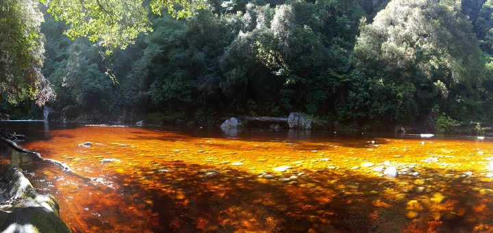Oparara river